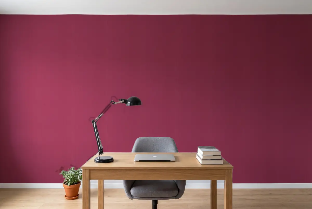 Erismann SCENO 5739-16 Розпродаж в інтер'єрі