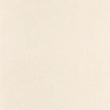 Texdecor LINEN2 світлий льон LNI103221134