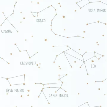 Texdecor Our Planet созвездие бело-блакитний OUP101917125