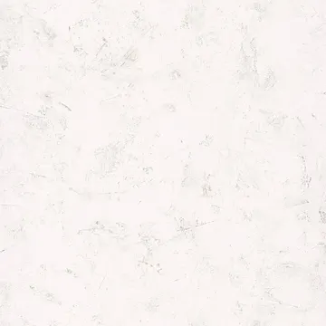 Texdecor Patine2 штукатурка білий с золотом PAE100220102