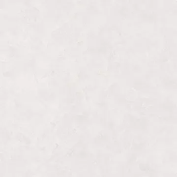 Texdecor Patine2 штукатурка светло-сірий PAE100220255