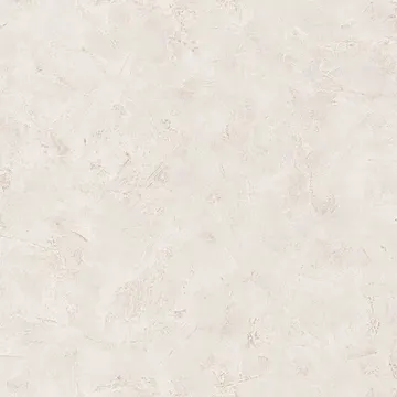 Texdecor Patine2 штукатурка серо-беж PAE100221717