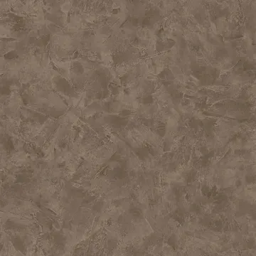 Texdecor Patine2 штукатурка мокрий камінь PAE100221987