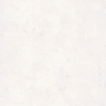Texdecor Patine2 штукатурка бело-сірий PAE100229003