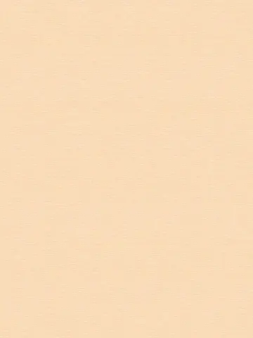 A.S. Création Pint Walls 30689-6