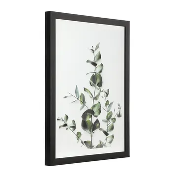 EGLO Репродукція друкована в рамці 325x425 "Ровервол"