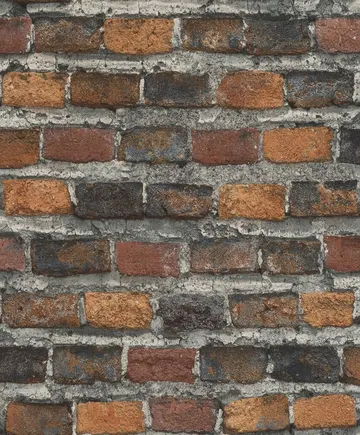 Rasch Factory 4 428063