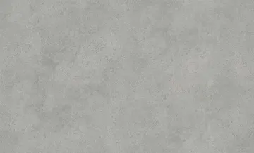 Rasch 910582