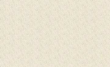 RASCH COUNTRY LIVING XL - 1,06 x 10m 970852 Lerua