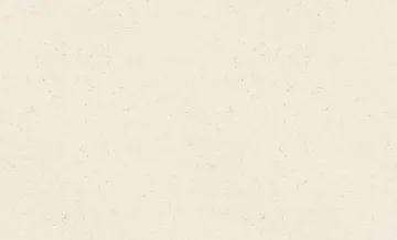 Rasch Concrete XL 974201 Lerua