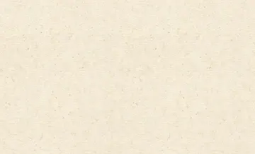 Rasch Concrete XL 974218 Lerua