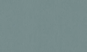 RASCH ASCONA - 1,06 x 10m 979329 Lerua