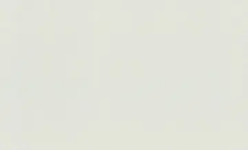 RASCH NOVELLA - 1,06 x 10 m 983593