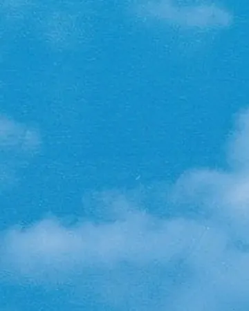 Самоклейна плівка Gekkofix 0,90 11503