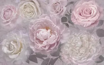 Emiliana Blumarine 24034