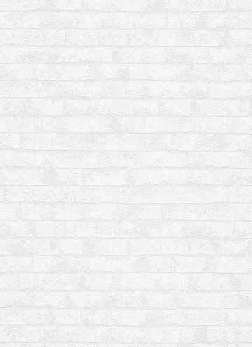 Erismann RollOver Deco 3 5303-01