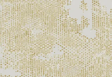 Fridola 70041