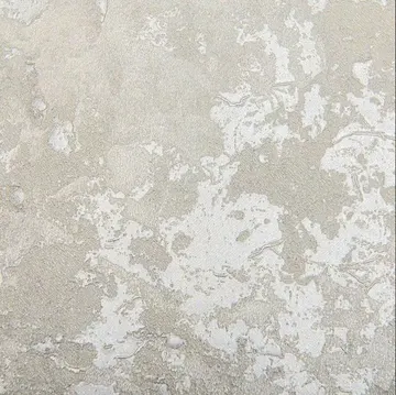 Emiliana Forte dei Marmi 2 83739