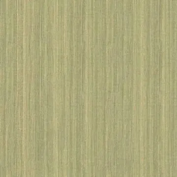 Parato Fibra (2019) 9049