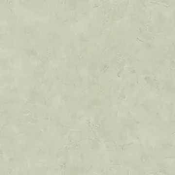 Texdecor Patine штукатурка аспарагус PAI100227440
