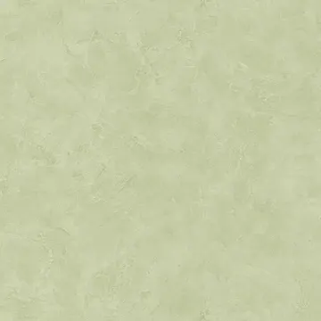 Texdecor Patine штукатурка салат PAI100227690