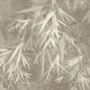 Lymphae 18617