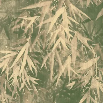 Lymphae 18632