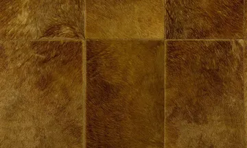 Vetiver 33502