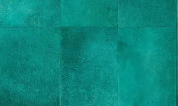 Vetiver 33503