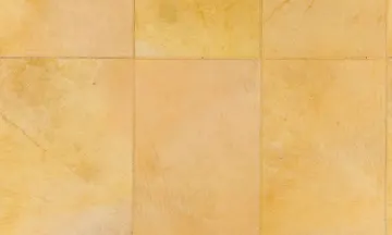 VETIVER 33508