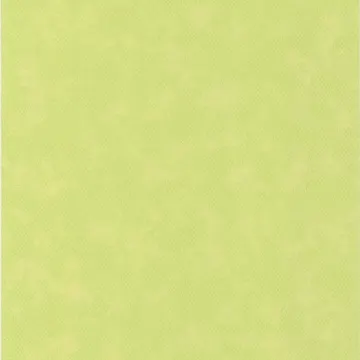 CONTEPORAIN 51145614