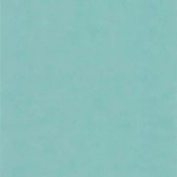 Conteporain 51163911