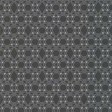 CONTEPORAIN 51177319