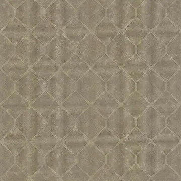CONTEPORAIN 51182508