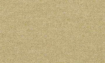 CAMEA 78012