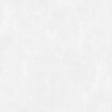 STRUCTURES M55290D