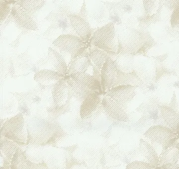 P+S Fashion for Walls 02469-20