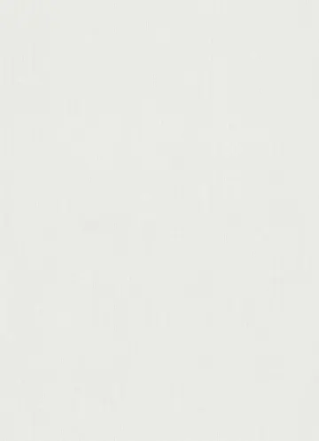 ERISMANN GMK №3 FASH.for WALLS 1.06 x 10 m 12035-25 GMK №1