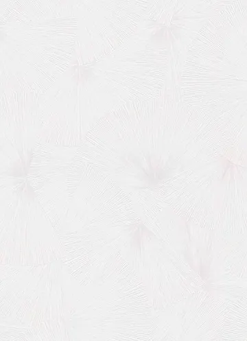 Erismann Fashion for Wolls 2 ( 1.06) 12099-01