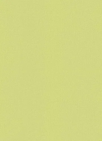 Erismann 10140-07-0.53 12124-07 Розпродаж