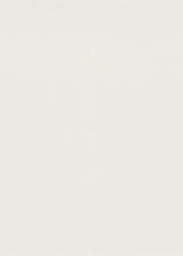 Erismann Fashion for Wolls 5 ( 1.06) 12258-01