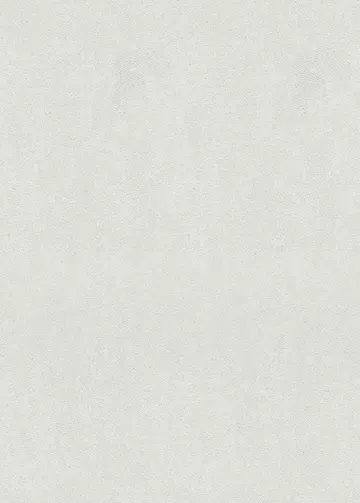 Erismann Fashion for Wolls 5 ( 1.06) 12262-01
