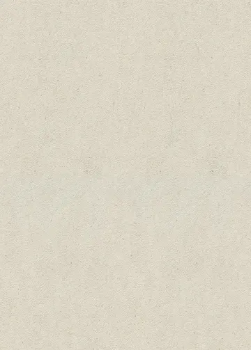 Erismann Fashion for Wolls 5 ( 1.06) 12262-02