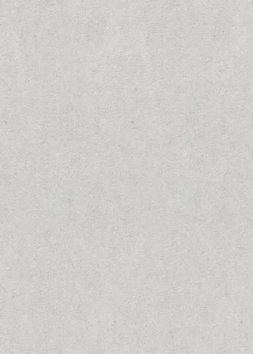 ERISMANN GMK №5 (Part 2)FASH.for WALLS- 1.06 x 10 m 12262-10