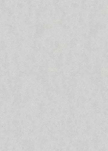Erismann Fashion for Wolls 5 ( 1.06) 12262-31