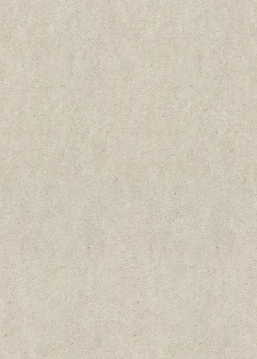 Erismann Fashion for Wolls 5 ( 1.06) 12262-32