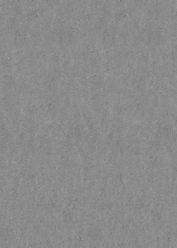 Erismann Fashion for Wolls 5 ( 1.06) 12262-34