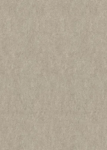 Erismann Fashion for Wolls 5 ( 1.06) 12262-37