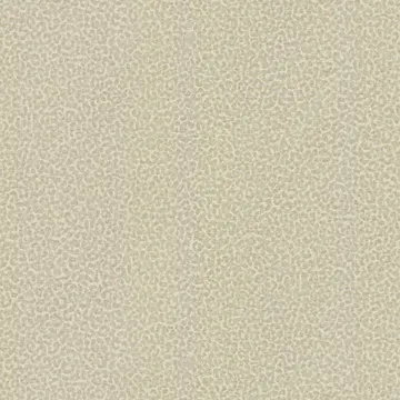 Emiliana ROBERTO CAVALLI 8 (2024) 19021