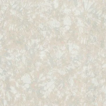 Asian Fantasia 206102